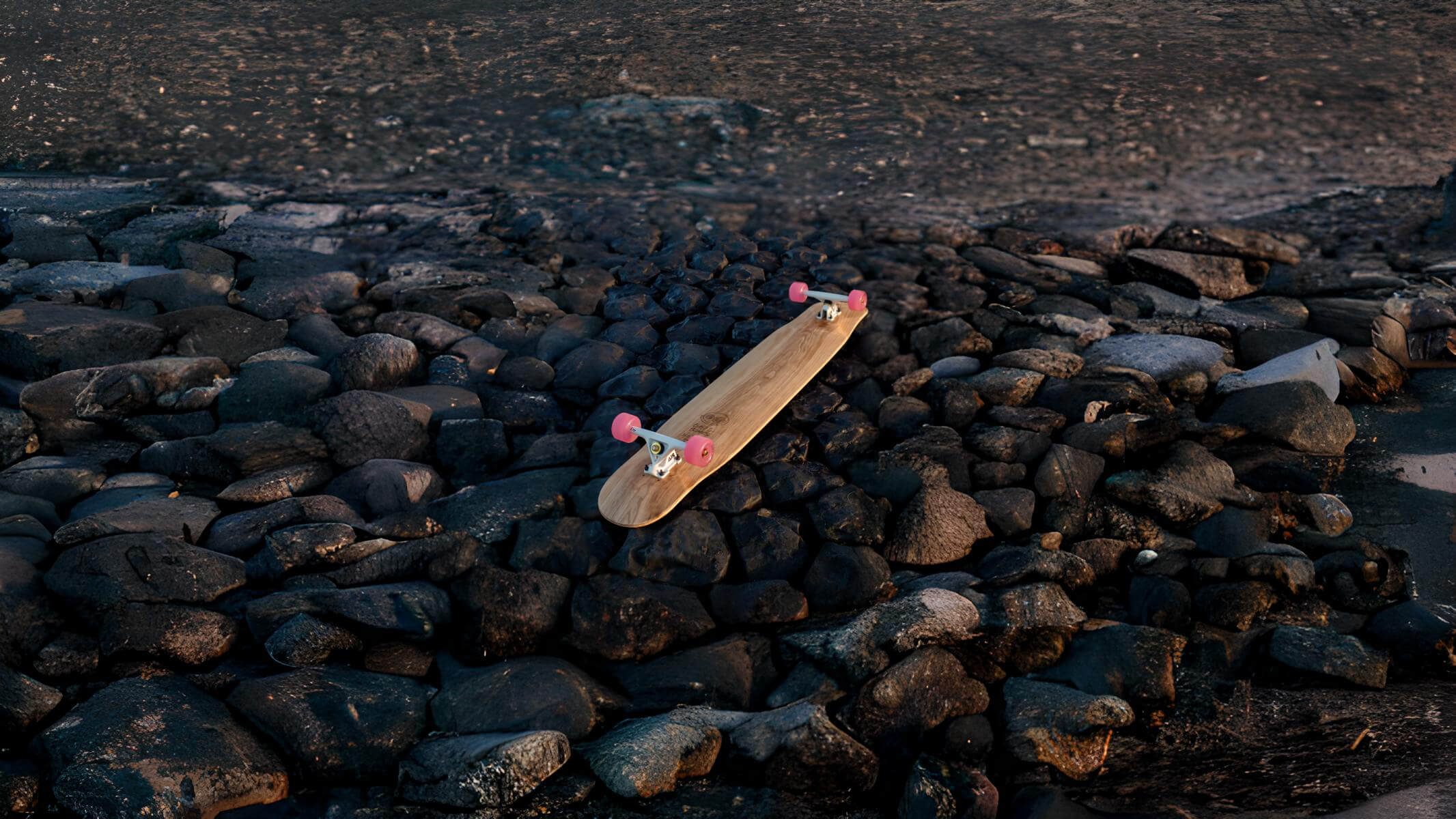 A Walzer laying on a bed of stones